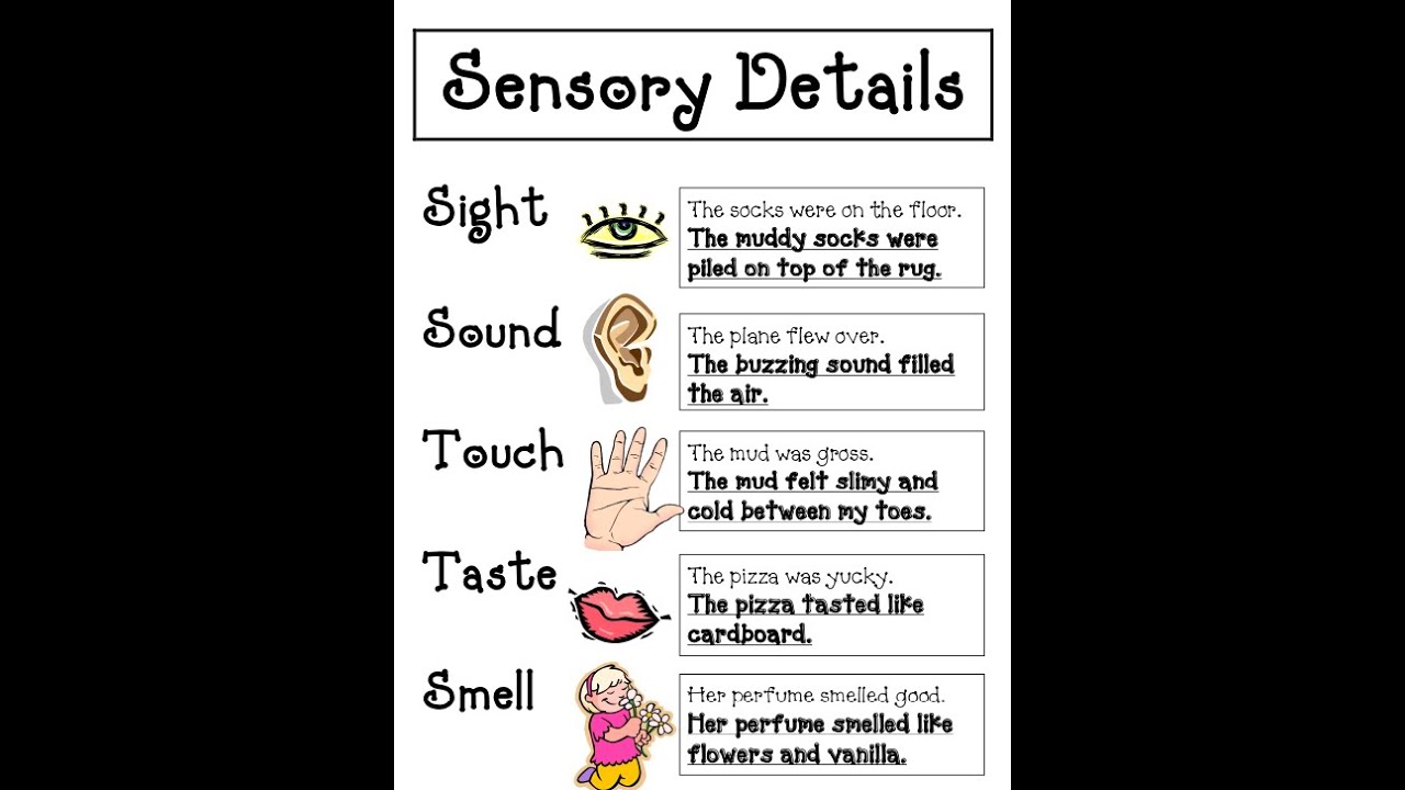 Sensory Details For Sight Examples